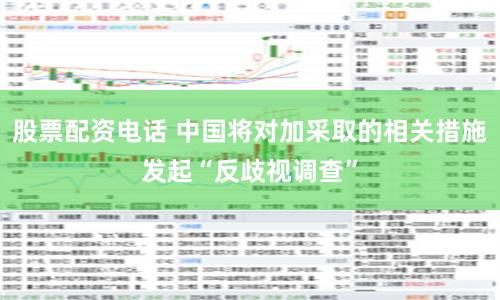 股票配资电话 中国将对加采取的相关措施发起“反歧视调查”