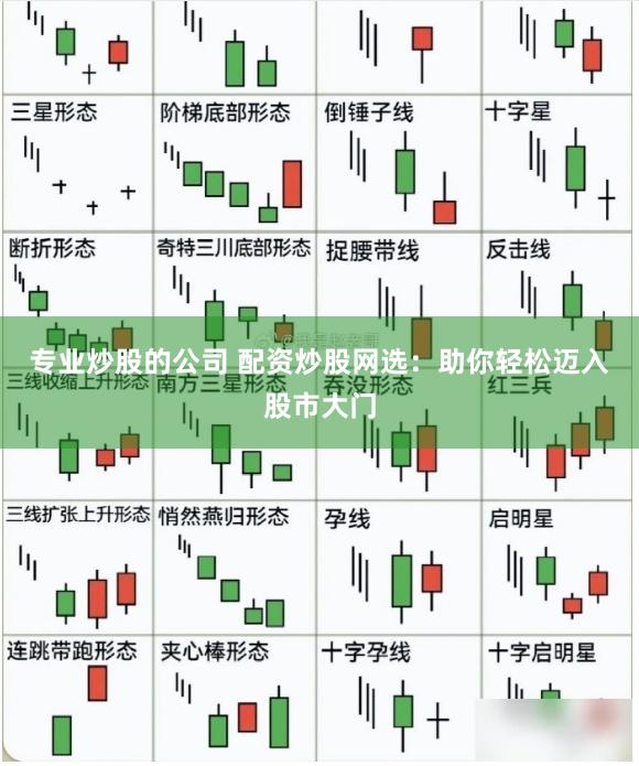 专业炒股的公司 配资炒股网选：助你轻松迈入股市大门