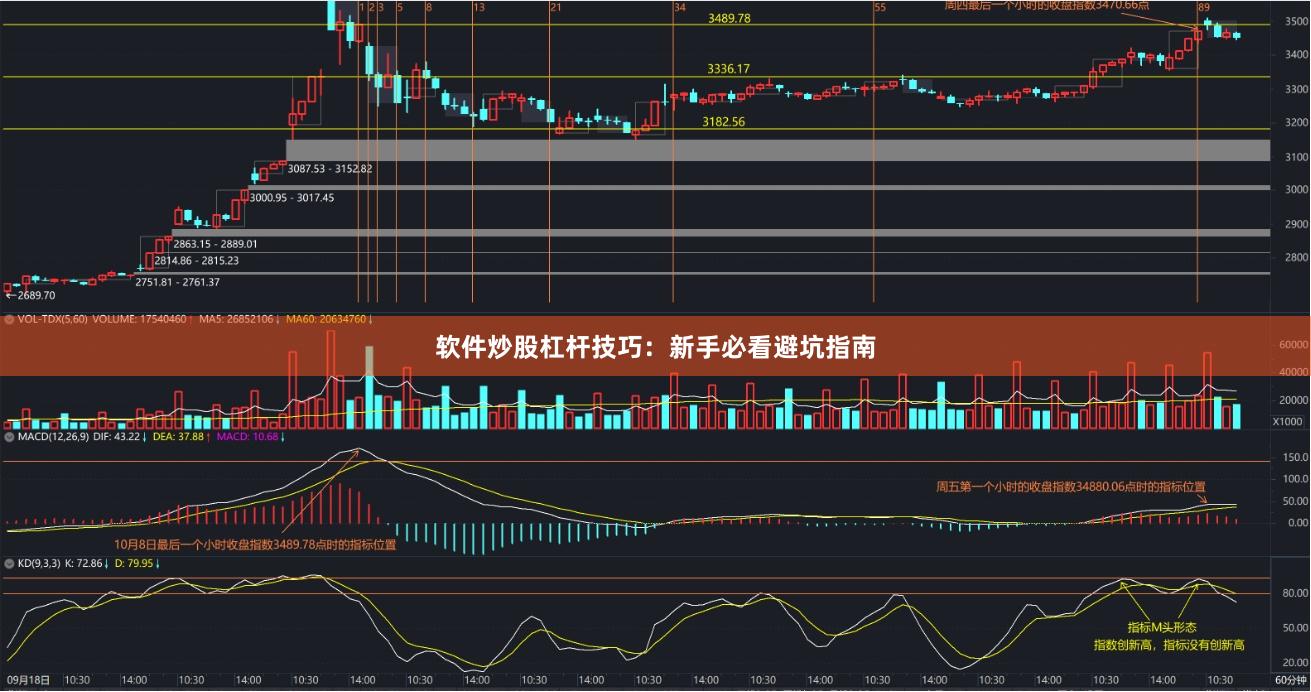 软件炒股杠杆技巧：新手必看避坑指南